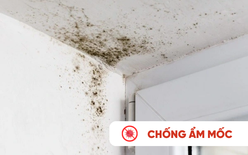 Chống ẩm mốc, vi khuẩn, bảo vệ sức khỏe gia đình